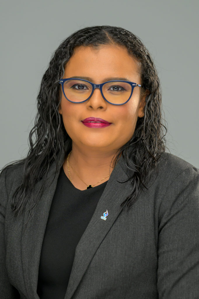 Senior Manager - Projects